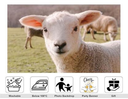 5x3ft White Lamb Close Up Backdrop Fluffy Wool Sheep Green Pasture Farm Portrait Photography Background Tapestry Farm Decorations Photo Booth Props - size: 5x3ft