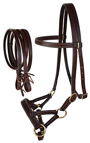 CHALLENGER USA Horse Western Leather Tack Bitless Sidepull Bridle Rein BRN 77RT03BR-C