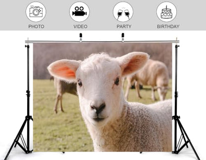 5x3ft White Lamb Close Up Backdrop Fluffy Wool Sheep Green Pasture Farm Portrait Photography Background Tapestry Farm Decorations Photo Booth Props - size: 5x3ft