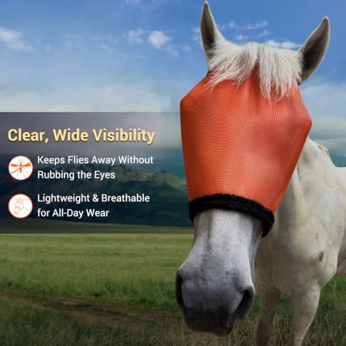 Fly Mask Without Ears for Horses, UV Block & No-Rub (Orange, XXL) - size: XX-Large