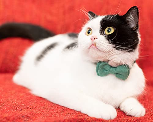 Collar for Cat Pet Breakaway with Bell Bowtie Detachable Bow Adjustable Safety Kitten Puppy Girl Boy 2pcs Christmas-B - color: Christmas-B