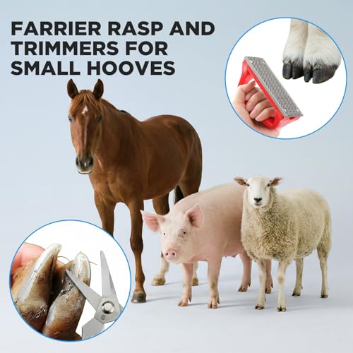 Goat Hoof Trimmers Shears Kit with Rasp, Sheep Care Tool Black Red - color: Black Trimmers Red Rasp