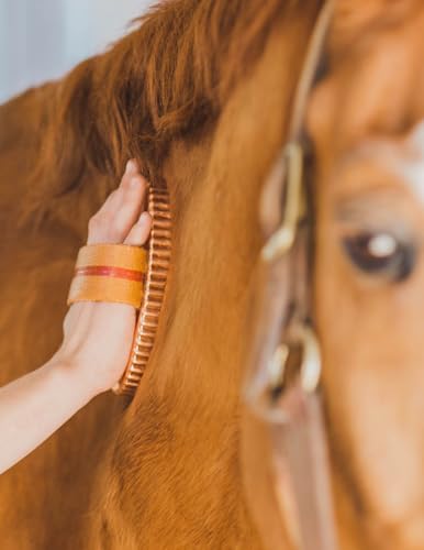 Kawell USA Oval Face Curry Comb Brush for Horse Grooming and Coat Care with Grip Handle