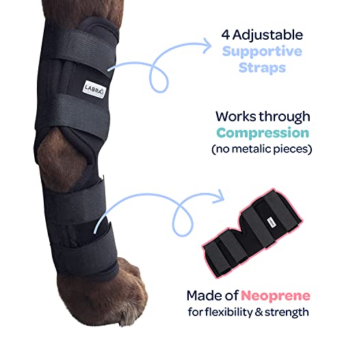 Labra Dog Rear Leg Hock Joint Compression Wrap - Supportive Brace for Weak Back Legs, ACL Tear, and Joint Discomfort - Adjustable Hind Leg Support for Senior Dogs - Medium - size: Medium