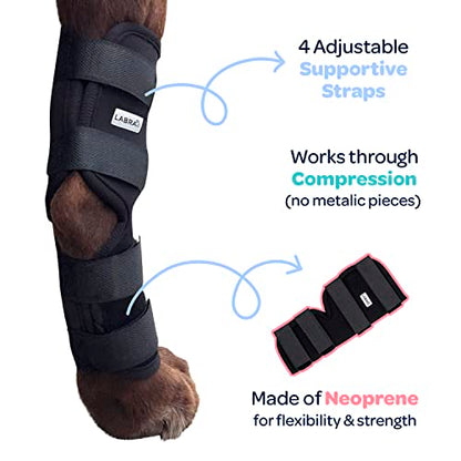Labra Dog Rear Leg Hock Joint Compression Wrap - Supportive Brace for Weak Back Legs, ACL Tear, and Joint Discomfort - Adjustable Hind Leg Support for Senior Dogs - Medium - size: Medium