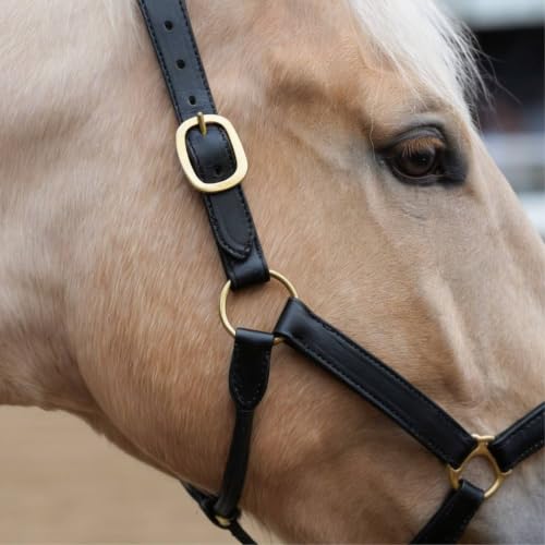 Genuine Leather Horse Halter – Padded Crown, Brass Hardware