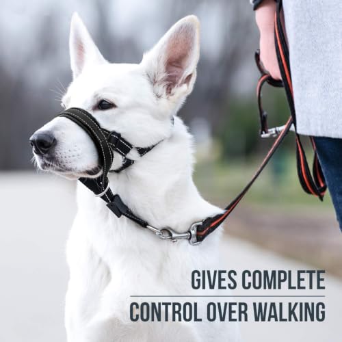GoodBoy Dog Head Halter with Safety Strap - Stops Heavy Pulling On The Leash - Padded Headcollar for Small Medium and Large Dog Sizes - Head Collar Training Guide Included (Size 1, Black) - color: Black Nylon / Black Padding, size: Size 1