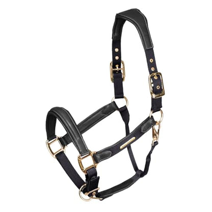 Shires Velociti Lusso Padded Halter - Leather Breakaway - color: Black, size: Full