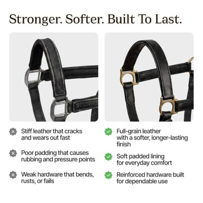 Genuine Leather Horse Halter – Padded Crown, Brass Hardware