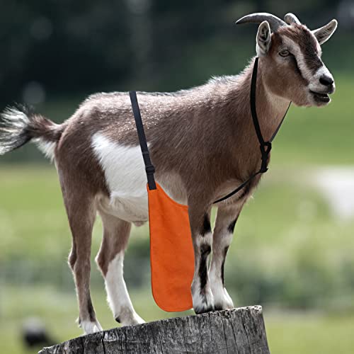 Anti Breeding Buck Apron Anti Mating Skirt with Chest Strap - color: Orange, size: Small