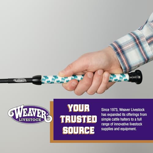 Weaver Livestock Basic Pig Show Whip, Hog Livestock Whip with Braided Nylon Handle, Leather Popper, Lightweight Braided Shaft - color: 36" - Teal/White