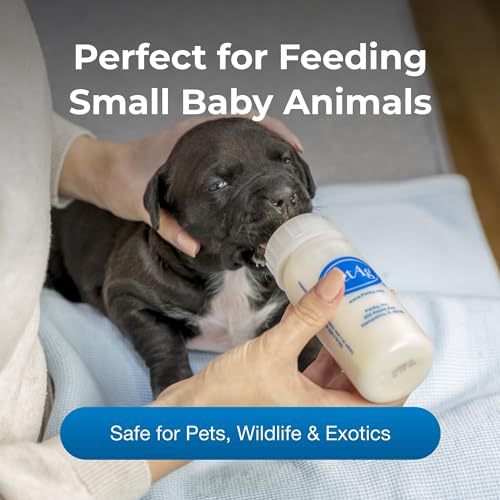 Pet-Ag Nursing Kit - 2 oz