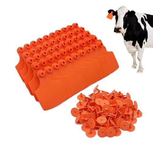 4.1" L×3.5" W Cattle Ear Tags Big Blank 100PCS Livestock Identification TPU - color: 7-orange
