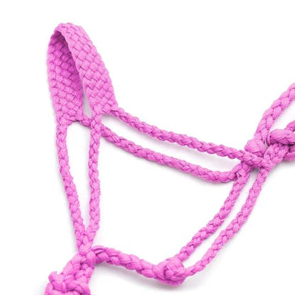 Jeffers Equine Braided Mule Tape Halter with 10' Detachable Lead Rope Set for Horses, 14 to 18 Hands - Stylish Design with Adjustable Poll Strap, Easy to Use Western Tack - Pink - color: Pink