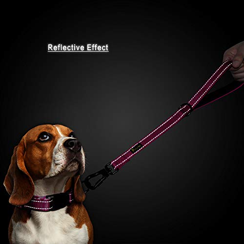 PLUTUS PET Short Training Dog Leash with Padded Handle for Medium Large Big Dogs,18 Inch Heavy Duty Strong Traffic Leash with Carabiner Clip for Climbing Walking or Guiding Blind（18”，Pink | Reflective, Heavy Duty Strong Nylon, Traffic Leash with Carabiner
