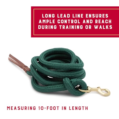 Weaver Equine 10' Performance Lead Rope, Brass-Plated Snap - color: Hunter Green