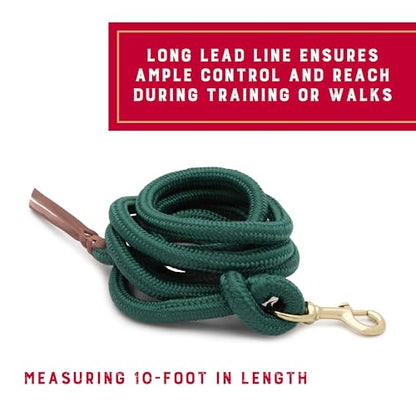Weaver Equine 10' Performance Lead Rope, Brass-Plated Snap - color: Hunter Green