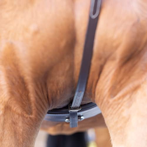 Equinavia Saga Adjustable Leather Standing Martingale with Stainless Steel Hardware (Stopper Not Included) - Chocolate Brown - Pony - size: Pony