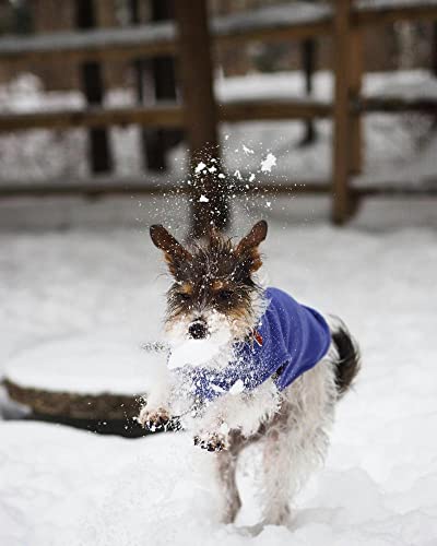 Gooby Stretch Fleece Vest Dog Sweater, Violet, X-Small - color: Violet, size: X-Small Length (7")