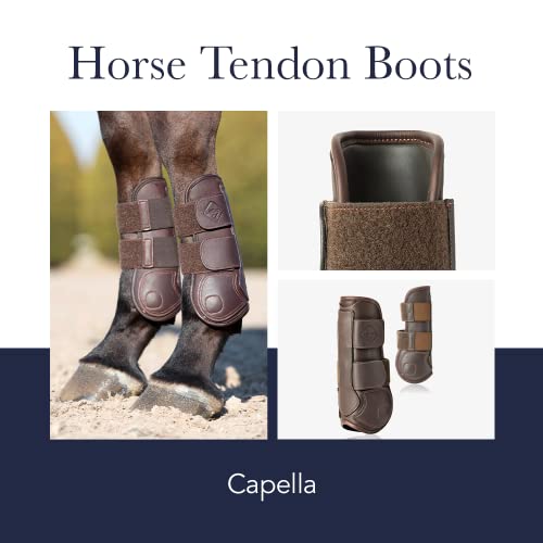 LeMieux Horse Tendon Boots - Protective Gear and Training Equipment - Equine Boots, Wraps & Accessories - Tendon Protection and Support - color: Black