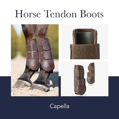LeMieux Horse Tendon Boots - Protective Gear and Training Equipment - Equine Boots, Wraps & Accessories - Tendon Protection and Support - color: Black