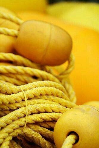 Yellow Poly Rope 5/16" x 100 Foot Polypropylene, Marine, Industrial, Resistant to Moisture Chemical Oil Floats Stretch Resistant Deer Fence Home Improvement DIY Yellow Rope, Great White Brands, USA