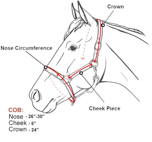 Cob Horse Sized Jacquard Diamond Nylon Halter with Fleece Padded Nose and Crown and Black Trim and Black Coated Hardware - color: Red
