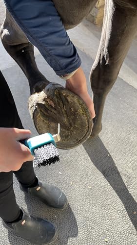 Horse Hoof Pick with Brush - Non-Slip Ergonomic Handle, Heavy-Duty Steel Pick & Stiff Bristles - Removes Dirt, Mud & Rocks - Horse Grooming Tool for Daily Hoof Care (Pink) | Steel pick, stiff bristles and non-slip ergonomic handle for removing packed mud,