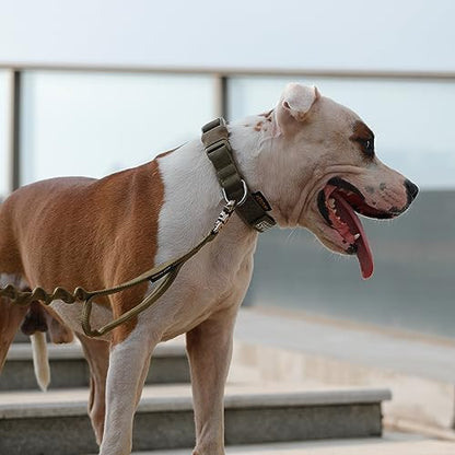 EXCELLENT ELITE SPANKER Tactical Nylon Padded Medium Dog Collar Adjustable | Heavy Duty Military Pet Collar Soft & Lightweight Quick-Release Buckle No-Choke for Medium and Large Breeds with Patches - color: Coyote Brown, size: M-(15.4"-19.3")