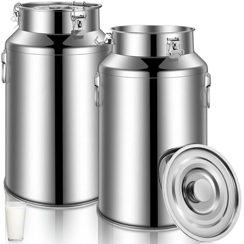 FillTouch 2 Pcs Stainless Steel Milk Can 35L with Sealed Lid for Storage - size: 35l