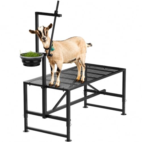 Goat Milking Stand with Feed Bin, 400LBs Goat Stand for Sheep Trimming and Milking, Hoof Trimming Stand Adjustable Size for Pygmy, Dwarf Goats, Iron Black - color: Black, size: M-35*18 Inch