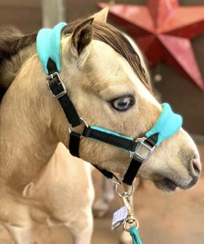 Star Point Horsemanship Mini-Pony Fleece Halter - color: Teal, size: Large 35-38"
