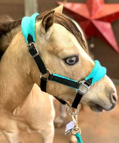 Star Point Horsemanship Mini-Pony Fleece Halter - color: Teal, size: Large 35-38"