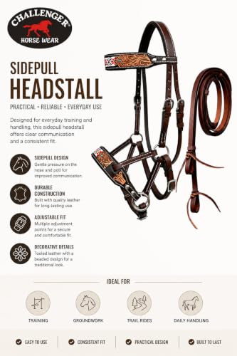Horse Western Tan Leather Padded Bitless Training Sidepull Bridle Reins - color: Floral Beaded White
