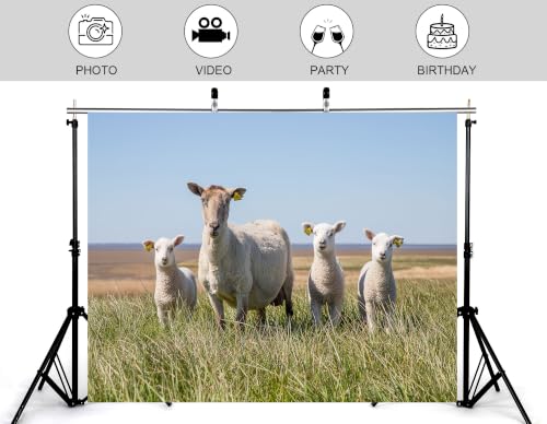 5x3ft Fabric White Wool Sheep Family Backdrop Four Fluffy Lambs Tall Green Grass Blue Coast Sky Photography Background Tapestry Party Farm Animal Decorations Photo Booth Props - size: 5x3ft