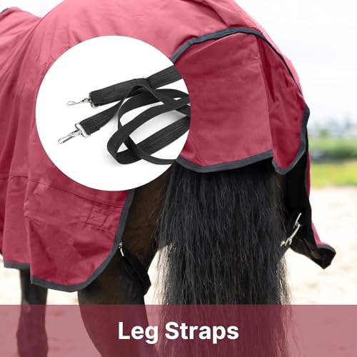 RESISTANCE Premium 1680D Waterproof Horse Turnout Blanket with 300g Polyfill & Adjustable Buckle Closure - color: Brick Red, size: 68"