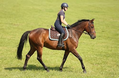 CHALLENGER Horse Cotton Quilted All Purpose English Saddle PAD Trail Brown Turquoise 72F40