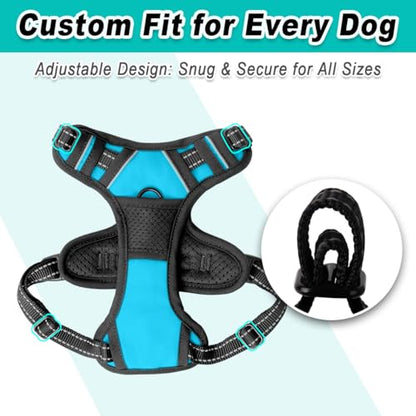 BARKBAY Dog Harness for Small Sized Dog No Pull 2 Leash Clips Dog Vest - color: Blue, size: X-Small