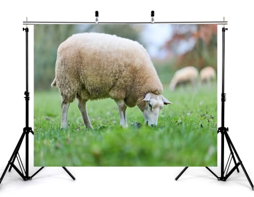 10x7ft Fabric White Wool Sheep Backdrop Green Grass Dry Leaf Blurred Garden Wildlife Photography Tapestry Party Pasture Decorations Photo Booth Props - size: 10x7ft