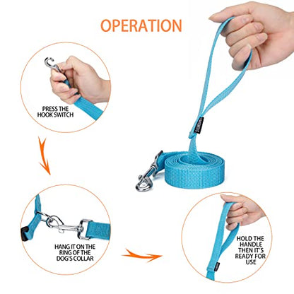 Strong Durable Nylon Dog Training Leash, 1 Inch Wide Traction Rope, 6 ft Long, for Small and Medium Dog (Mint Blue, 6 Feet) - color: Mint blue, size: 6 Feet