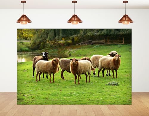 4x4ft Fabric Grassland Sheep Herd Backdrop Group of Wool Sheep Green Pasture Pond Forest Farm Scene Photography Background Tapestry for Farm Animal Decorations Photo Booth Props - size: 4x4ft