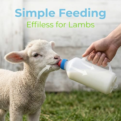 Goat Bottle, Feeding Bottle, Lamb Milk Bottle Portable, 1L Lamb Goat Milk Feeding Feeder Nursing Bottle with Handle Calf Bottle Baby Goat Supplies for Small Animal