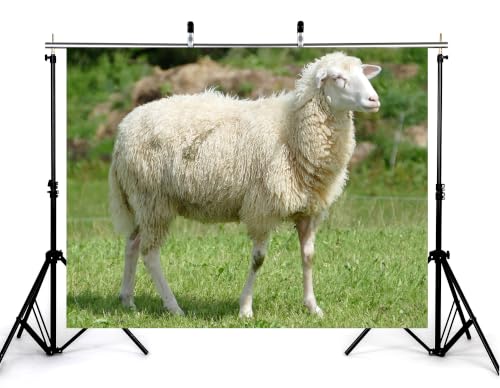 5x3ft Fabric Fluffy Wool Sheep Backdrop White Curly Coat Lush Bright Green Grass Blurred Wild Bush Pasture Background Tapestry Party Farm Birthday Wall Decorations Photo Booth Props - size: 5x3ft