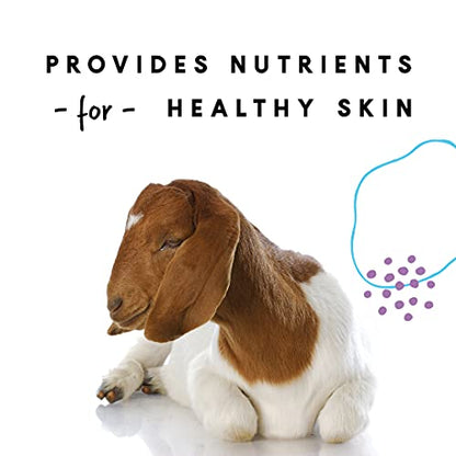 Manna Pro Goat Skin & Coat Supplement with Vitamins, 4 lb Bag