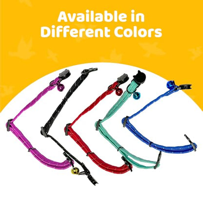 Birdsbesafe Reflective Breakaway Cat Collar with Bell, Safe Design, Black - color: Black
