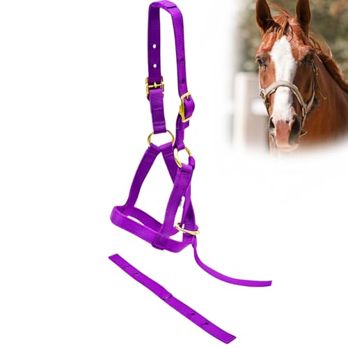 Jeffers Equine Nylon Weanling Halter for Miniature Horses – Adjustable 2 Ply 3/4" Webbing with Brass Plated Hardware, Double Crown Design, Lightweight for Training, Grooming, & Farm Use - Purple - color: Purple