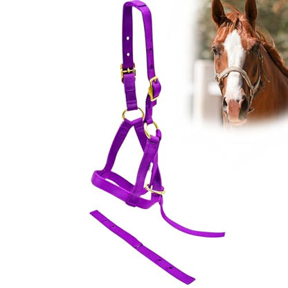 Jeffers Equine Nylon Weanling Halter for Miniature Horses – Adjustable 2 Ply 3/4" Webbing with Brass Plated Hardware, Double Crown Design, Lightweight for Training, Grooming, & Farm Use - Purple - color: Purple