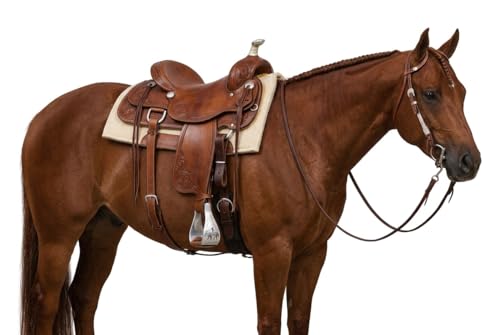CHALLENGER Horse Saddle Western Aluminium Bell Engraved Cut-Out Stirrups 51146