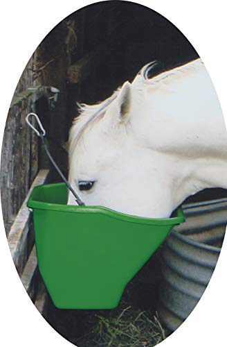 Little Giant® Plastic Better Bucket | Horse Feed Bucket | Ergonomically Designed | Flat Back Bucket | Made in USA | 20 Quarts | Green - color: Green, size: 20 Quarts