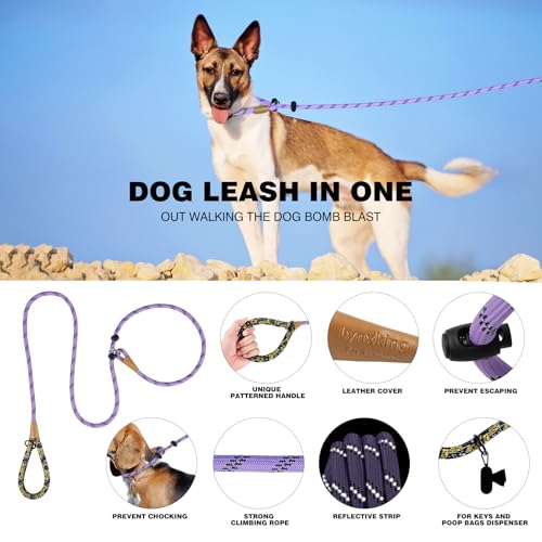 lynxking Dog Leash 3/8in x 6ft Slip Lead Reflective Purple and red, 2 Pack